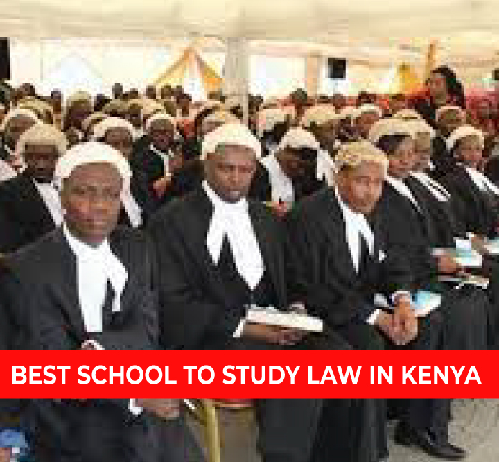 best-school-to-study-law-in-kenya-videoemall