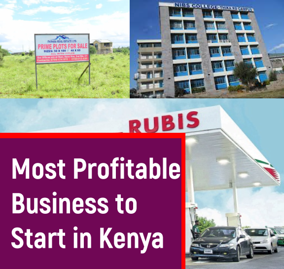 which is the most profitable business to start in Kenya VIDEOEMALL